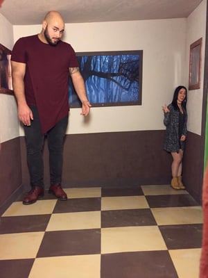 store/s/7823c91e-8064-4d8e-a425-2aeb49a96b49.jpeg