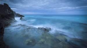 store/s/796ce679-b1d5-43f3-96a5-54d517faaae4.png