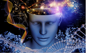 store/s/79713f58-ed11-4bb7-b27a-17b36c6bf182.png