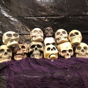 store/s/7a92076e-aacb-438e-b835-d18d145d4635.webp