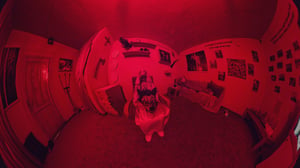 store/s/7d163892-d95f-42d5-bbad-515fe4dde773.jpeg
