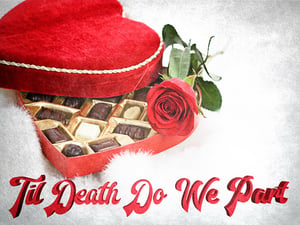 store/s/7d22b6bd-1ada-4569-9868-70628912c7cd.jpg