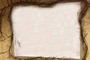 store/s/7e467af3cdb1e88b713b9de0d3423da5.jpg