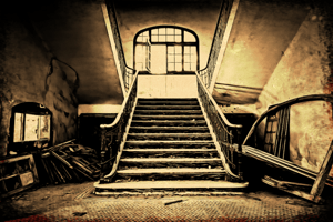 store/s/7ef309e5-6536-4d83-9e85-1514ba68a458.png