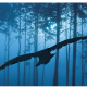 store/s/7efe9e7a-a825-4eb0-abe6-72371ed42296.png