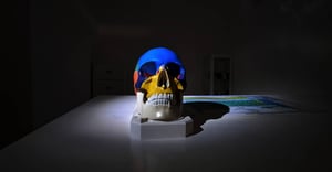 store/s/7f1d8918-6071-4ee7-92a4-ee04174e6aa4.png
