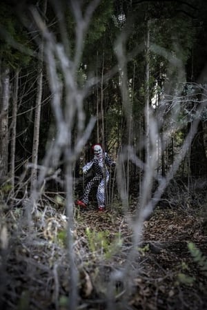 store/s/806da789-e0e3-4b0f-b040-b627381856cb.jpg