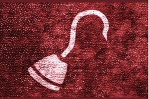 store/s/81342ffef8c9ed596f68cbf5809bbb44.jpg