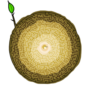 store/s/81e315f0-efa5-45f9-ab50-2ff9e270689e.png