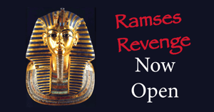store/s/85eb8d10-a450-4ce2-82cd-33be8c863f2f.png