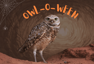 store/s/88270d1d-bc59-46e0-a445-4f96e3eee21b.png
