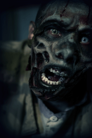 store/s/8a441dfd-1b55-43b0-98cf-998236ad2d12.png