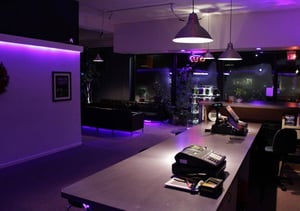 store/s/8cc42b04f36d406724192f03b27ddb81.jpg