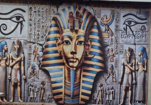 store/s/8d7614f7-55a3-4ae5-8ef4-b0dce68d8d3d.jpg