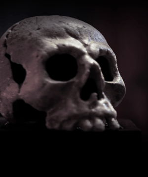 store/s/8dd708e1-e78e-4727-8139-518a5ed2f3c9.png
