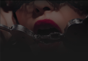 store/s/8df46f1e-502a-4528-9977-1d1dfea5b8df.png