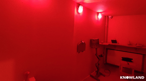 store/s/8e5437cc-b358-4642-94a7-6b88b96e71ce.png