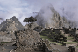 store/s/8e693083-7a3b-435c-91c6-b25f15bbade5.png