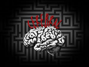 store/s/8f71584d-5a32-45e6-9fc5-4efd1d3ed714.webp