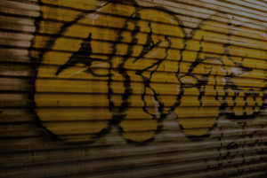 store/s/9246abce-cc17-4167-a6a8-665ca3f5b816.png