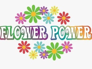 store/s/9256a144-0cdc-4ac5-96c2-29a6549260f7.webp