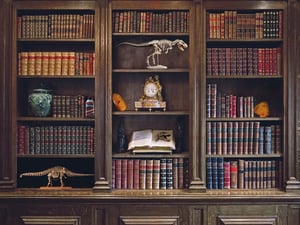 store/s/927a4a77-6934-4286-8856-c963b817eb89.jpg