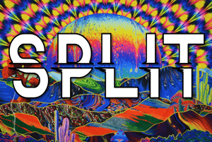 store/s/9393b2d6-6094-48d8-acb3-2f2f99a02b32.png
