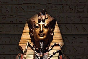 store/s/94f09d845a1773879053dddd0e3dc0c6.jpg