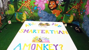 store/s/94f12caa-899e-4147-b108-43ed68921335.webp
