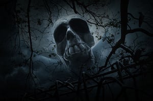 store/s/961e06c0-e939-48ac-9349-46e315b04d4e.jpg