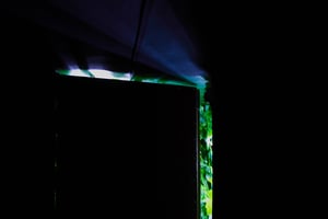 store/s/990a7f89-e27d-4fd7-9d08-0069351578c8.jpg
