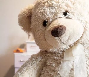 store/s/992b9aed-d215-4a06-bb1d-f23e586f37eb.webp