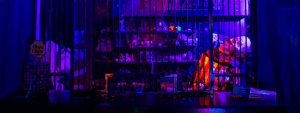 store/s/9aba38df-bf23-4d55-b024-d6d825a5704a.png