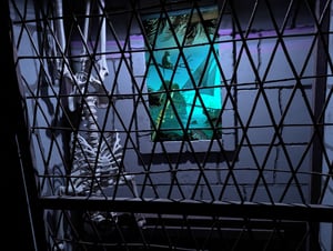 store/s/9bf3c3b5-5155-4f91-9c06-4b1a5e05f7b5.jpg