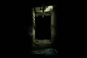 store/s/9c666f02962a0d448e8d588824decc8e.jpg