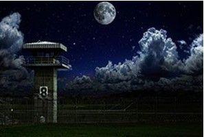 store/s/9ca82724091a59802cbff19f204cb2f8.jpg