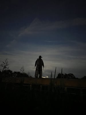 store/s/9e579433-53d4-4a79-b647-346716cf1119.jpg