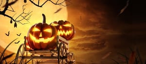 store/s/9f2d7a03-81a1-4f71-ac92-3c4ddc838d20.jpg