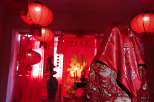 store/s/a0896e62-9d76-4ff2-9574-65f261fd3a1b.jpg