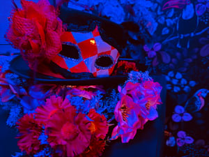 store/s/a1258fa5-dd31-4c59-bcc3-7a1c071245fc.png