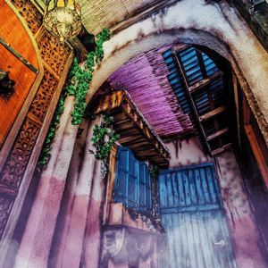 store/s/a22e9c9d-57c0-4180-af89-d7ae9dfadb5d.png