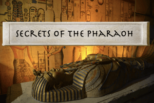 store/s/a3347428-75c1-4d0f-8d8d-183cdf21ba2d.png