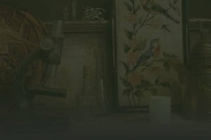 store/s/a45d664aca2ad070421acaac7a0a9ca4.jpg