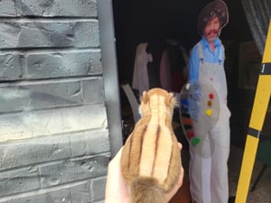 store/s/a50b0398-b29d-4514-8f31-48f70e9aeb84.jpeg