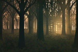 store/s/a525e50c63f7b0e30f526242324986e6.jpg