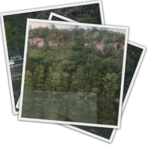 store/s/a6f6429a-7602-4935-9e02-057d5f52095f.png