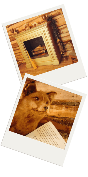 store/s/a7598e66-dc2f-46d3-96fc-9acd075501b1.png
