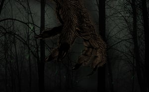 store/s/a82ccdd0-d0e2-4fe1-aee2-328a26d5a03a.jpg