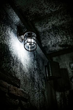 store/s/a9826583-c584-4d10-b61e-ba775b28796b.jpeg