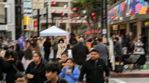 store/s/ab87fa96-a31f-4970-8881-dc4ae0b2ecb2.jpg